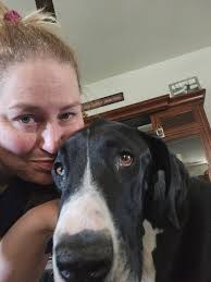 Rescue for Great Danes in Wisconsin