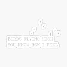 Feel good, break a smile, see the sunshine on a rainy day. Nina Simone Feeling Good Gifts Merchandise Redbubble
