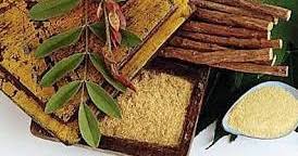 Yourspace النبات البر ي في البلاد العربية