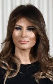 The first order of business in achieving donald trump's hair is addressing last but certainly not least are the styling products that will be necessary to achieve the trump 'do. Pin On My First Lady