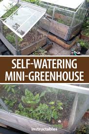 Self Watering Mini Greenhouse With Europallets Greenhouse Mini Greenhouse Self Watering