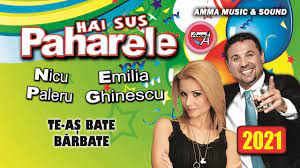 Fisierul este adaugat in categoria petrecere si se poate descarca in format mp3. Nicu Paleru Si Emilia Ghinescu Te As Bate Barbate Youtube