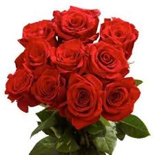 A flower, sometimes known as a bloom or blossom, is the reproductive structure found in flowering plants (plants of the division magnoliophyta, also called angiosperms). Top 10 Most Popular Flowers For Valentine S Day