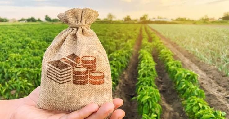 Wholesale Nut Trading