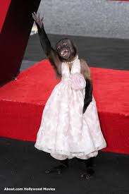 The Hangover Ed Helms Exclusive Interview Monkeys Funny Monkey Pictures Cute Monkey