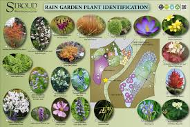 Moorhead Environmental Complex Rain Garden Plants Rain Garden Design Rain Garden Plants