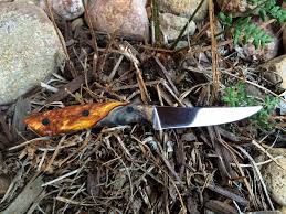 Custom Bird And Trout Knife Custom Hunting Knife Small Game Skinner Bird And Trout Big Game Caping Deer Hunting Elk Hunting Bird Hu Hunting Knife Outdoor Knife Custom Hunting Knives