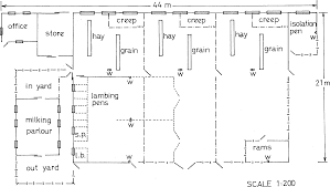 Intensive Sheep Production In The Near East Cattle Barn Barn Layout Goat Barn