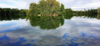 mal ein zwetschgenmann mal ein wassermann grantige alltagsgeschichten und geschichten vom schwimmen