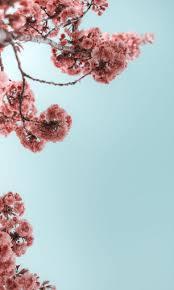 4k wallpapers of ios 15, stock, ipados 15, wwdc 21, hdr, abstract, #5587 for free download. 1080x2400 Wallpapers