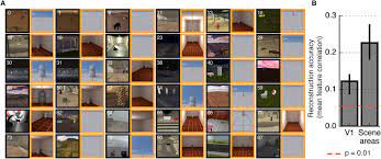 He has been here since he was 10 and didn't know any english when he got to the u.s., but i can barely detect a hint of an accent. Human Scene Selective Areas Represent 3d Configurations Of Surfaces Sciencedirect