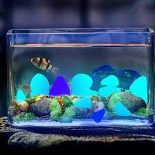 Under the sea fish n flush toilet aquarium geekologie : Percantik Akuarium Dengan 10 Rekomendasi Hiasan Akuarium Yang Keren Ini
