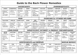 Guide To Bach Flower Remedies If Rescue Remedy Is Already