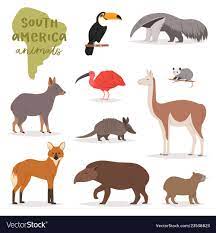 Animal In South America Wild Animalistic Vector Image American Animals South America Animals South America