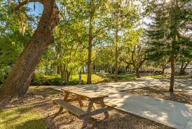 3,185 likes · 79 talking about this · 15,045 were here. Rv Living Near Disney World Mill Creek Rv Resort