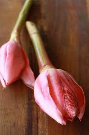 Spices Unearthed Torch Ginger Flower Bunga Kantan Season With Spice