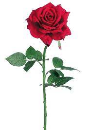 Red Diana Rose Artificial Flower 26 In 2021 Red Wedding Flowers Red Rose Drawing Dark Red Roses