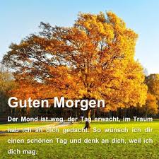 Nun jammert nicht lange rum, raus aus den federn und hinein in den tag. Guten Morgen Grusse Schonen Tag Fur Android Apk Herunterladen