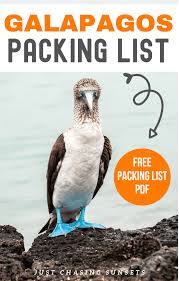 Galapagos Packing List What To Pack For A Diy Galapagos Trip Galapagos Trip Galapagos Travel Galapagos