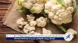 بوابة الفجر | أكلات سريعة للعائلة