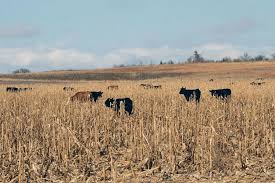 Montana Farmers Union president delivers testimony to House Agriculture  Committee