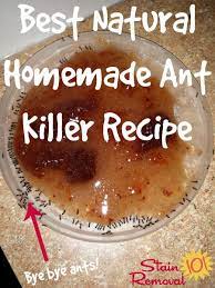 Borax does not kill ants immediately. Best Natural Homemade Ant Killer Recipe