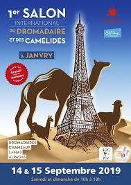 Vous êtes à la recherche d'une carte anniversaire gratuite dromadaire 60 ans? Dromacarte Fete