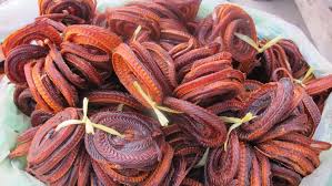 Image result for snake eatables in china