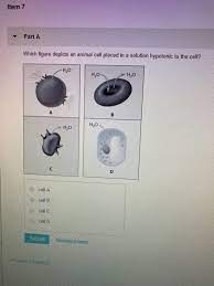 Some protozoans have special organelles called contractile vacuoles that continually eliminate excess water from the cell. Item 7 Parta Which Figure Depicts An Animal Cell Chegg Com