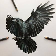 65 Trendy Bird Drawing Pencil Tattoo Kus Cizimleri Kus Cizimi Kus Dovmeleri