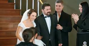 O data pe zi este transmis live. Pulbere De Stele