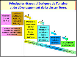 Avec ses températures très élevées, parfois plus de 100 degrés, une salinité et une acidité très fortes, et une grande concentration de souffre et de minéraux, ce site pourrait donner une bonne. L Origine De La Vie Sur Terre Vue Par Un Geologue Quoi De Neuf Depuis 2015 Planet Terre