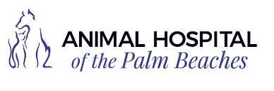 Complete and compassionate veterinary care for dogs and cats. Welcome To The Animal Hospital Of The Palm Beaches