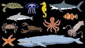 This short book describes popular sea creatures such as sea horses, octopus, clown fish, dolphins, manta ray, star fish, and sea turtles. Animals Under The Sea Book Version Whale Lobster Octopus More The Kids Picture Show Youtube