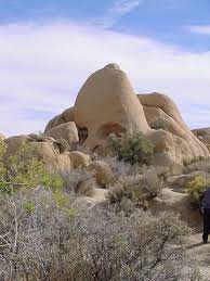 Skull Rock Joshua Tree National Park Twentynine Palms Ca Joshua Tree National Park Romantic Honeymoon Destinations Honeymoon Travel