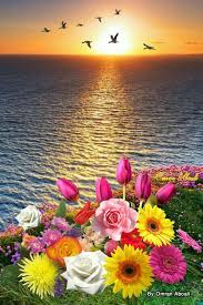 Flowers Good Morning In 2020 Flowers Photography Beautiful Flowers Wallpapers Nature Photography