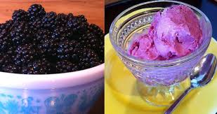 Makes 10 (1/2 cup) servings. Pin By Msbijouxbeads On Ice Cream Yummy Ice Cream Ice Cream Maker Recipes Sorbet Ice Cream