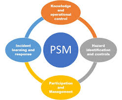Psm™?psm™ is professional scrum master, a certification scheme maintained and managed by in this article, we'll explain the concept of psm i vs psm ii so you can choose the right option for you at. Process Safety Management Psm 14 Elements Of Psm Hse And Fire Protection Safety Ohsa Health Environment Process Safety Occupational Diseases