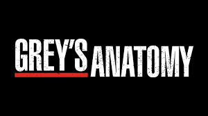 Ellen pompeo, chandra wilson, james pickens jr. Grey S Anatomy Staffel 17 Ganze Folgen Online