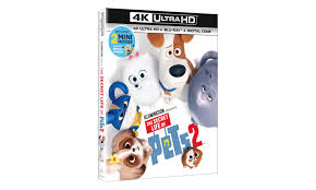 The secret life of bees. Secret Life Of Pets 2 Comes Home To Sit N Stay Animation Magazine