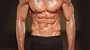 Why Knowing Body Fat Percentage Is Important Bhargav Amin