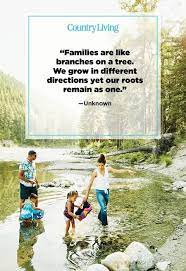 Maybe you would like to learn more about one of these? 59 Best Family Quotes I Love My Family Quotes