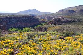 It was so beuatiful in there. Gila Lower Box Canyon Bureau Of Land Management