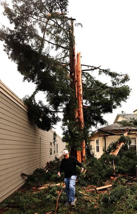 Lightning strikes and splinters tree, damaging church building in eastern Santa Rosa as spring storm hits