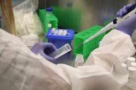 Regeneron antibody 'cocktail' can save lives in hospitalized covid patients, study finds published wed, jun 16 2021 5:42 am edt updated wed, jun 16 2021 7:06 am edt holly ellyatt @hollyellyatt Covid 19 Treatments Regeneron Antibody Cocktail Exeed