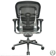 Raynor Ergohuman Chair Mesh Chair With Leather Seat Lem6erglo Office Chair Mesh Office Chair Mesh Chair