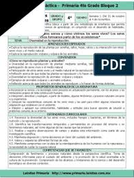 Autoevaluacion bloque iii ciencias naturales 4to apoyo primaria. Plan 4to Grado Bloque 2 Ciencias Naturales 2016 2017 Biodiversidad Science