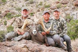 How To Accurately Score Bighorn Sheep Horns