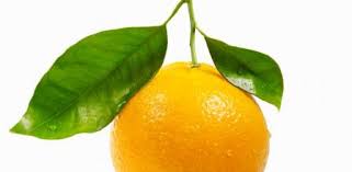 Naranjas online ecológicas y sostenibles. Las Naranjas Africanas Ganan Terreno En Espana