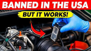 Image result for nemoci u%u0161  u ps%u016F